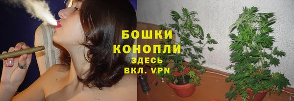 МДПВ Богданович