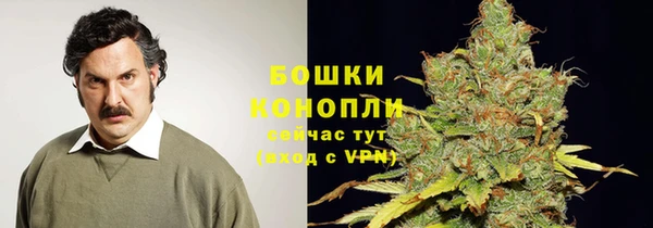 прущие грибы Богородск