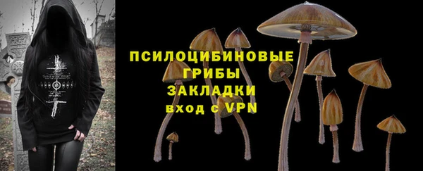 твердый Богородицк