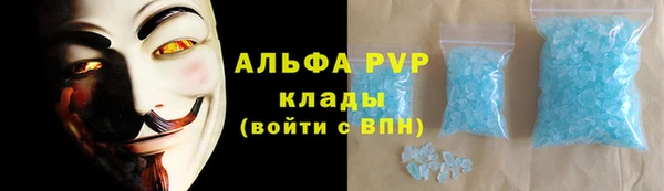 прущие грибы Богородск