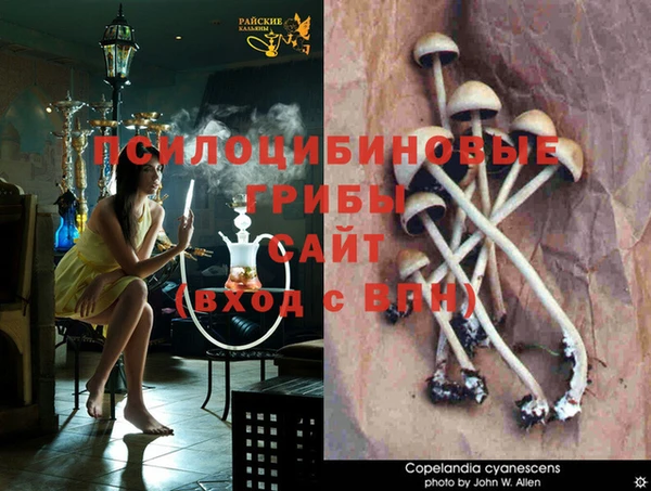 твердый Богородицк